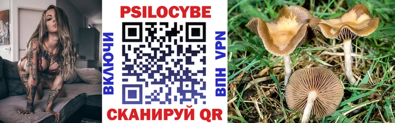 сколько стоит  hydra вход  Псилоцибиновые грибы мицелий  Белая Калитва 