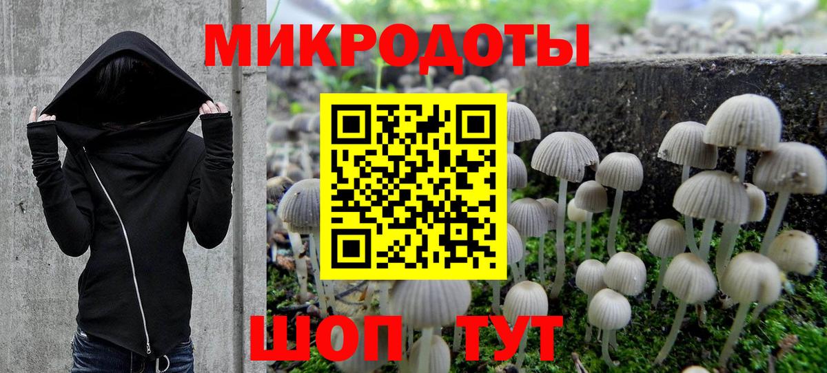 Псилоцибиновые грибы Psilocybe  Вход с VPN  Белая Калитва 